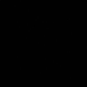 Meet your Posher, Liv